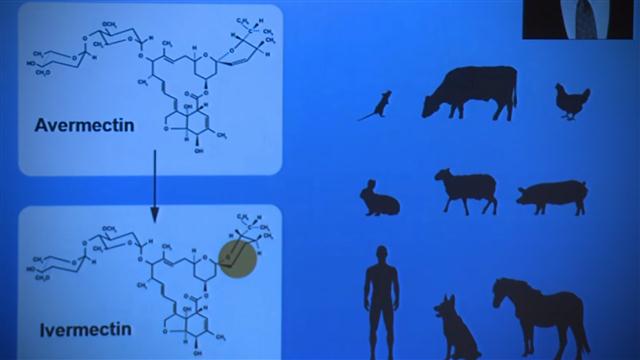 Ivermectin nobel prize