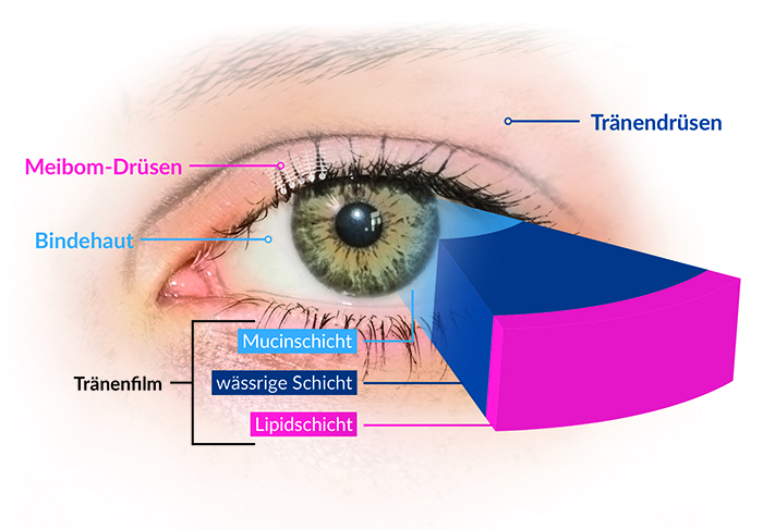 ivermectin salbe kaufen