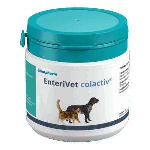 Ivermectin Tabletten Für Hunde