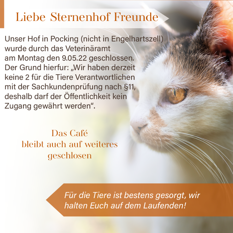 Lorazepam Dura Kaufen Ohne Rezept