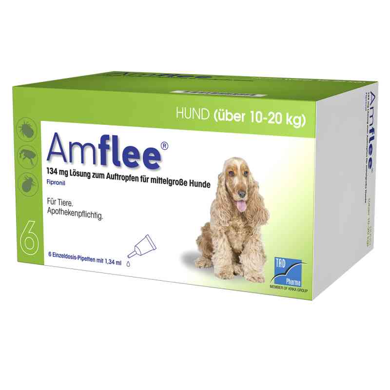 prednisolon 10 mg für hunde