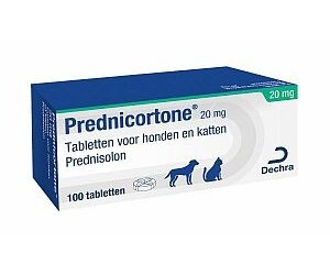 Prednisolon 20 Mg Hund Kaufen