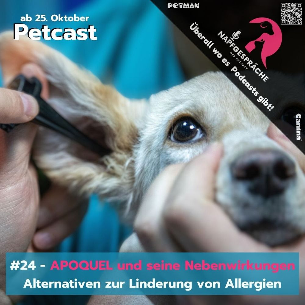prednisolon 5mg für den hund