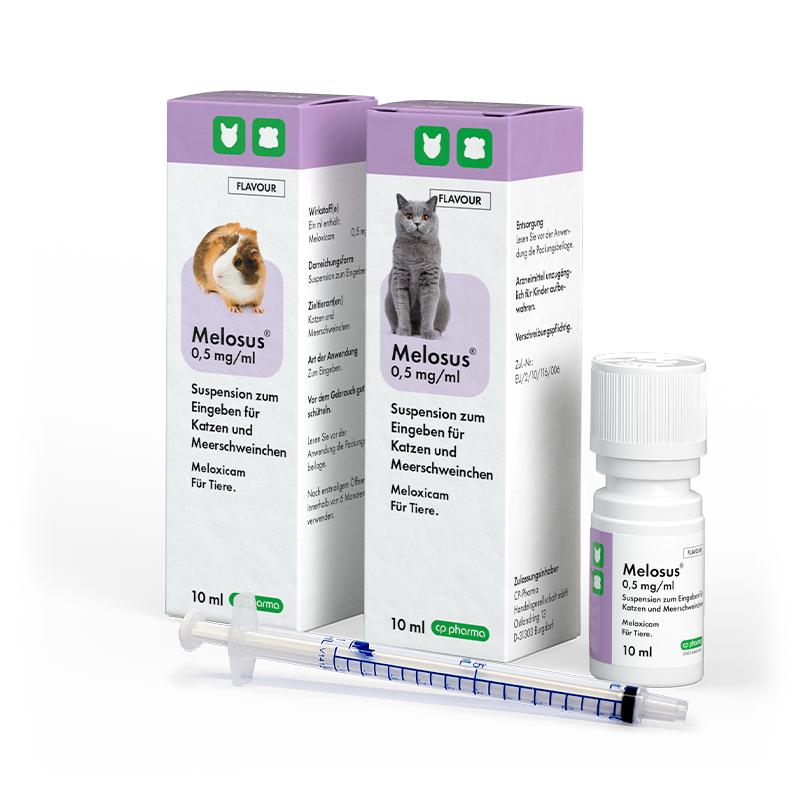 prednisolon 5mg für hunde kaufen rezeptfrei