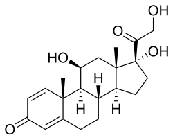 Prednisolon 5mg Katzen Kaufen
