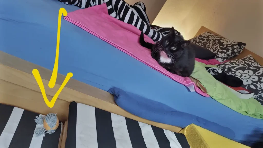 Prednisolon katze bestellen