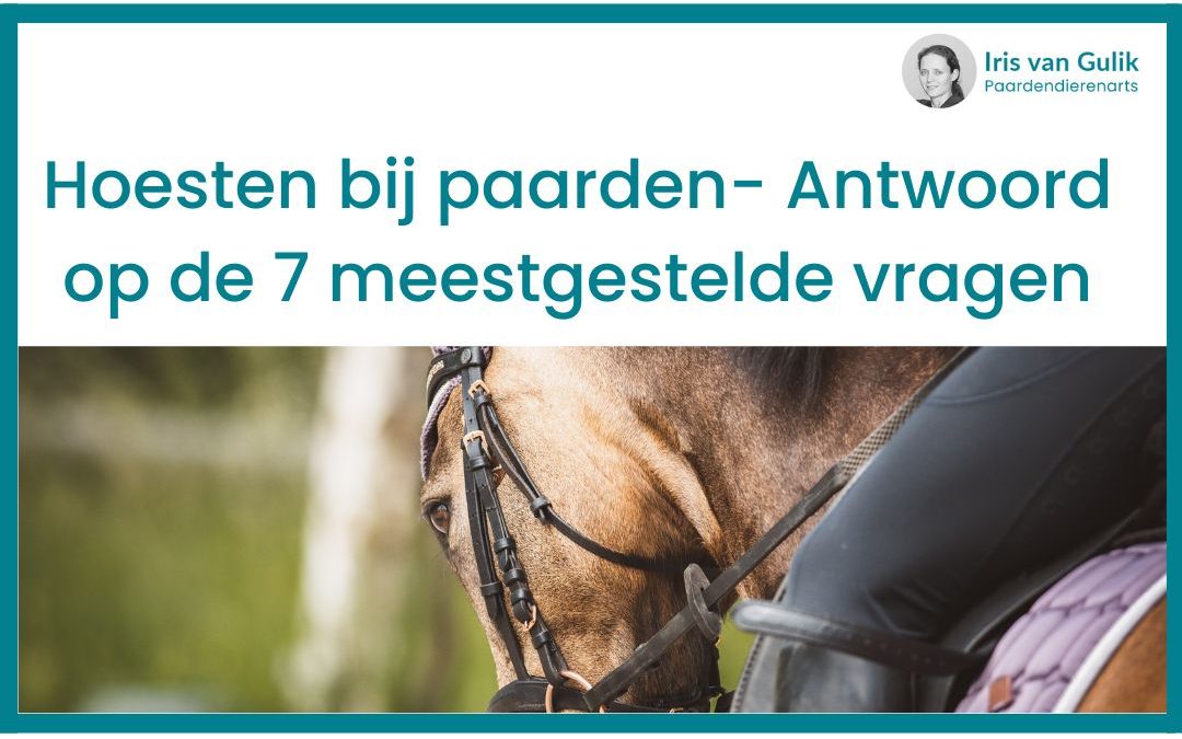 Prednisolon Paard Kosten