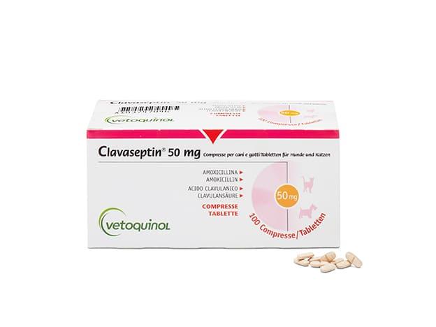 Prednisolon rezeptfrei schweiz