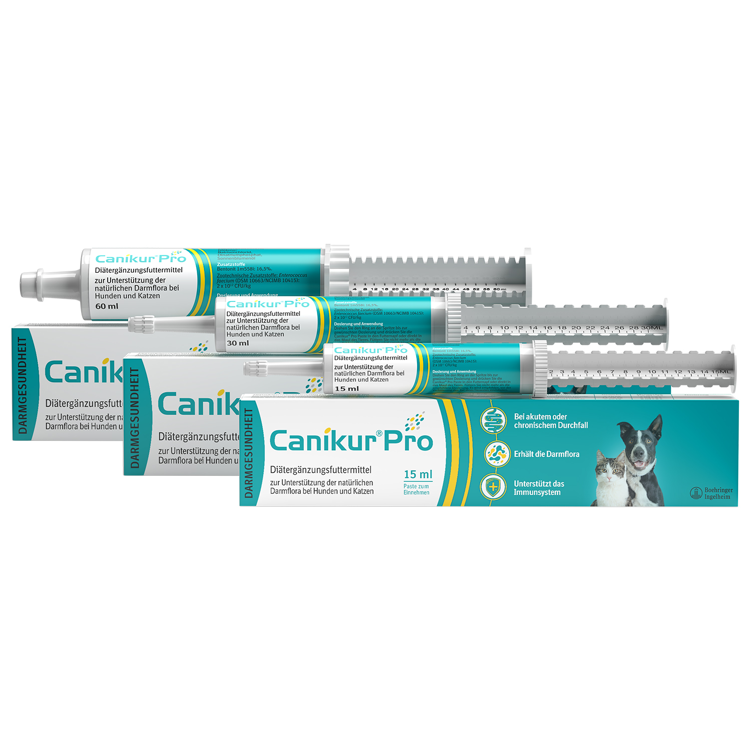 Prednisolon tabletten für katzen