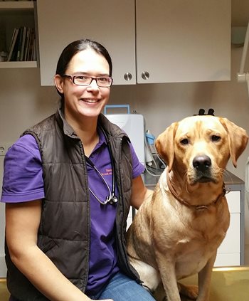 Prednisolon Tabletten Für Tiere