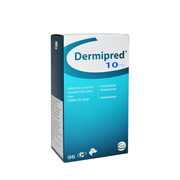 Prednisolone Kauf