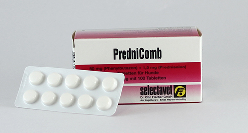 Prednisolone vet online
