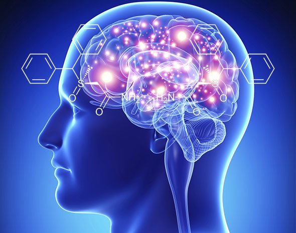 Woher Bekommt Man Modafinil