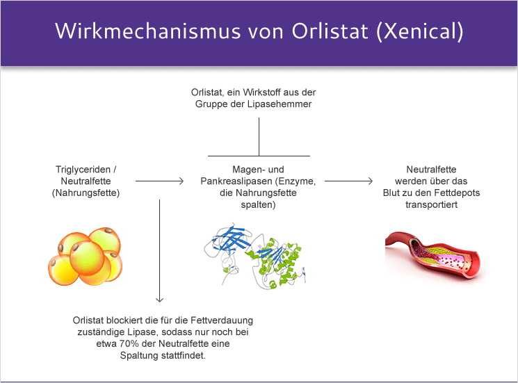 Xenical Kaufen Rezeptfrei